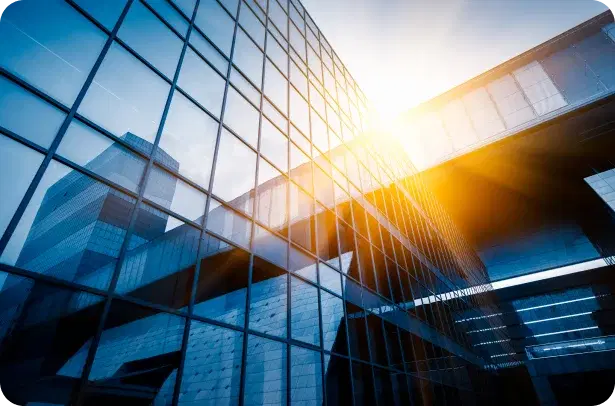 Project Management & Consultation